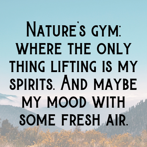 Forest Path Captions Photo for Instagram In [2025]-nNOEYJ