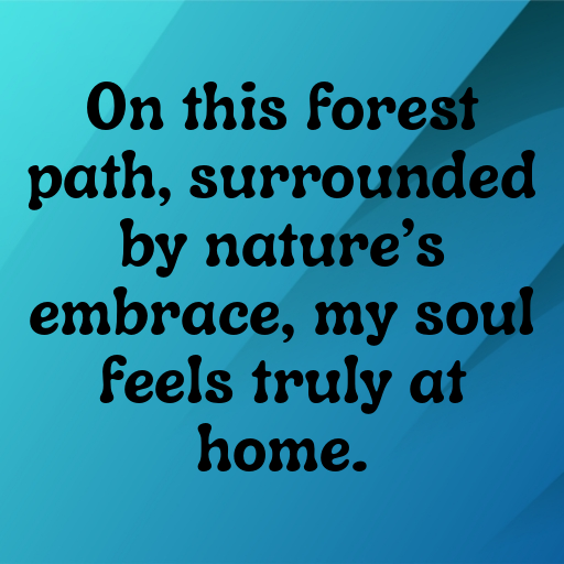 Forest Path Captions Photo for Instagram In [2025]-RN0UlL