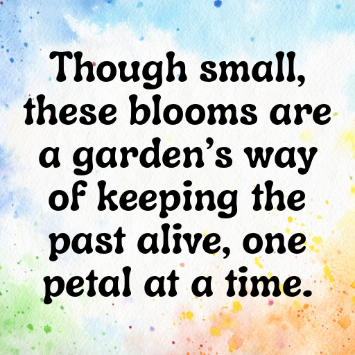 Forget-Me-Not Captions Photo For Instagram In [2025]-Acb836