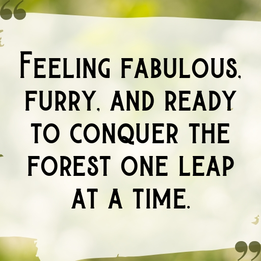 Fox Captions Image For Instagram In (2025)-Ca3h7S