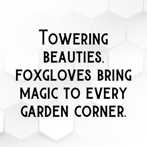 154+ Foxglove Captions For Instagram In 2025 5 Foxglove Captions Image For Instagram In 2025-tn8btZ