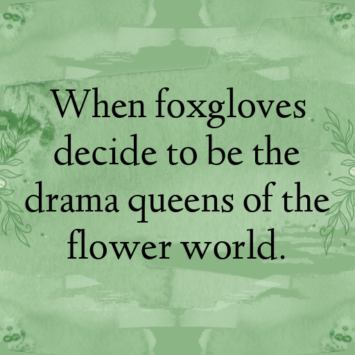154+ Foxglove Captions For Instagram In 2025 4 Foxglove Captions Image For Instagram In 2025-W4HGKF