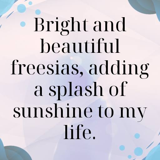 Freesia Captions Image For Instagram In (2025)-3JO1L3