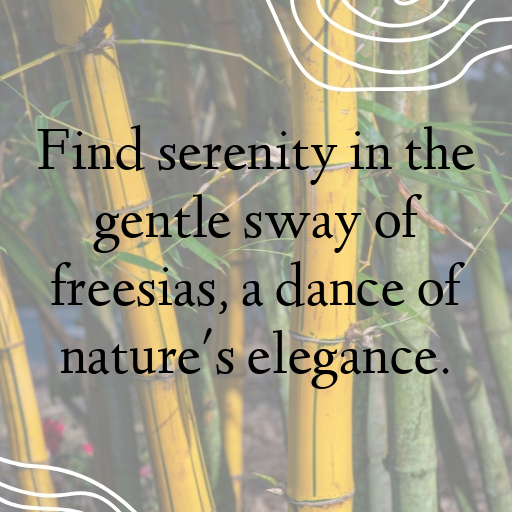 Freesia Captions Image For Instagram In (2025)-Rq8QbC