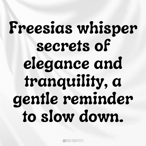 Freesia Captions Photo For Instagram In (2025)-D7GT9Z