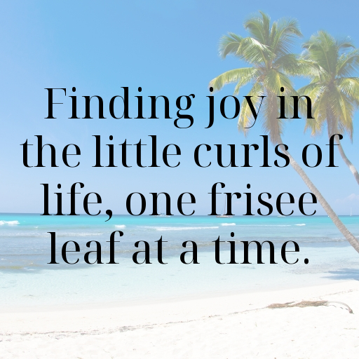 Frisee Captions Image For Instagram In [2025]-d2bHpS