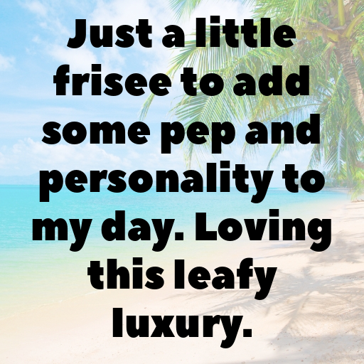 Frisee Captions Image For Instagram In [2025]-fDPiv9