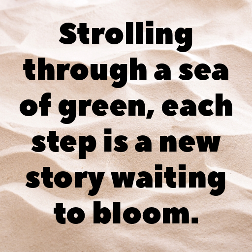 Garden Stroll Captions Image for Instagram In [2025]-Yd0MYh