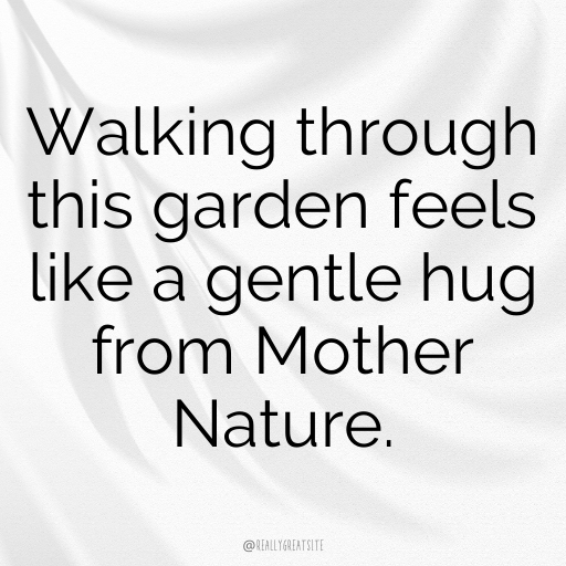 Garden Stroll Captions Image for Instagram In [2025]-yjoCef