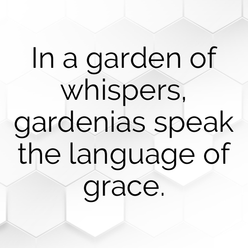 179+ Gardenia Captions For Instagram In 2025 5 Gardenia Captions Image For Instagram In 2025-ifatrC