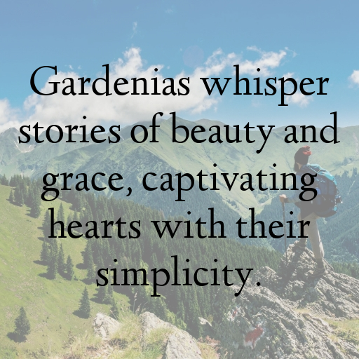 179+ Gardenia Captions For Instagram In 2025 8 Gardenia Captions Image For Instagram In 2025-JMytal