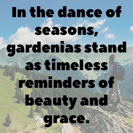 179+ Gardenia Captions For Instagram In 2025 3 Gardenia Captions Photo For Instagram In 2025-2nt9nQ