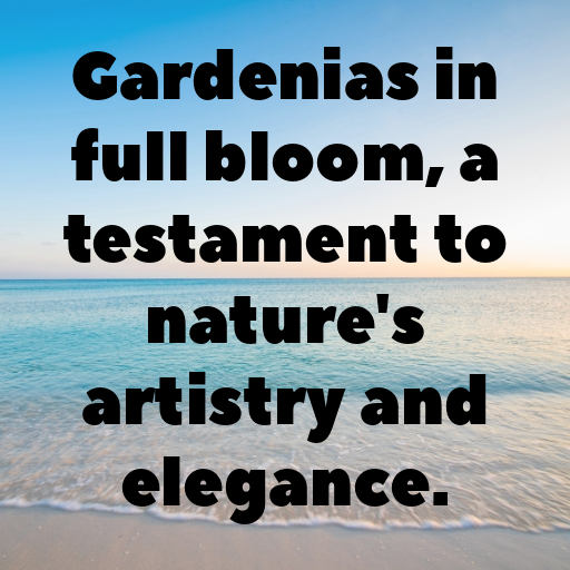 179+ Gardenia Captions For Instagram In 2025 6 Gardenia Captions Photo For Instagram In 2025-ilE0rg