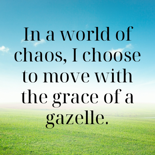 162+ Gazelle Captions For Instagram In 2025 9 Gazelle Captions Photo For Instagram In 2025-38V4Oz