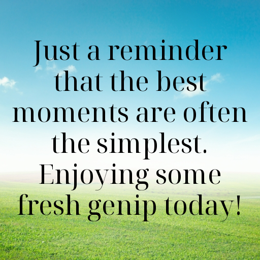 178+ Genip Captions For Instagram In 2025 8 Genip Captions Photo For Instagram In 2025-fdwMci