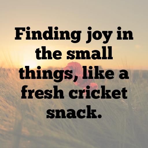 178+ Genip Captions For Instagram In 2025 5 Genip Captions Photo For Instagram In 2025-jwuaze