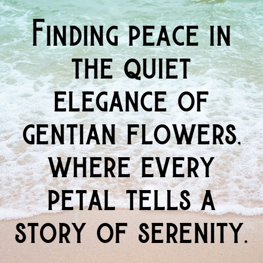 Gentian Captions Image For Instagram In (2025)-82aOLE