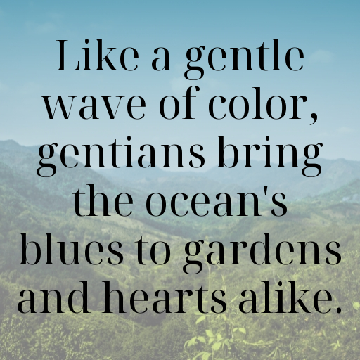 Gentian Captions Image For Instagram In (2025)-KbWfs4