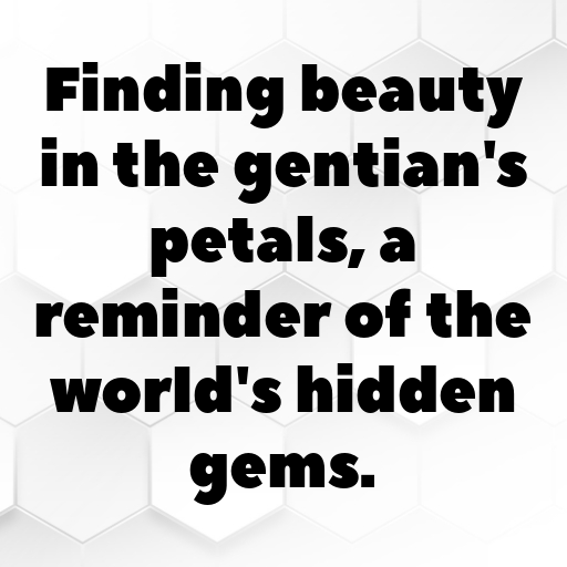 Gentian Captions Image For Instagram In (2025)-PNYGCq