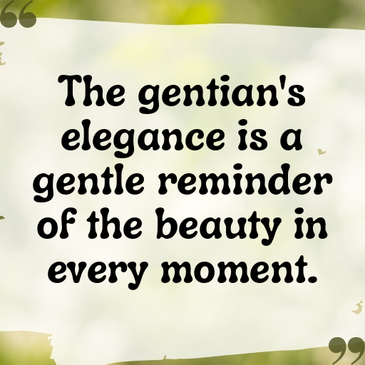 Gentian Captions Photo For Instagram In (2025)-hdixZW