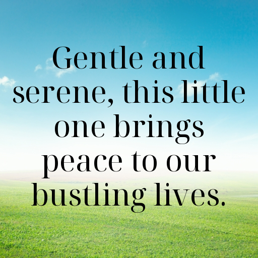 186+ Gentle Baby Captions for Instagram In 2025 10 Gentle Baby Captions Image for Instagram In 2025-TTReQT