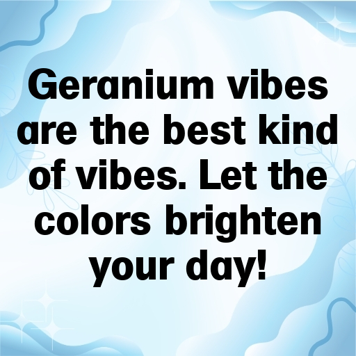 183+ Geranium Captions For Instagram In 2025 7 Geranium Captions Image For Instagram In 2025-3CQeTG