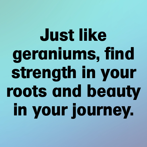 183+ Geranium Captions For Instagram In 2025 3 Geranium Captions Image For Instagram In 2025-5FM4T6