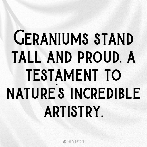183+ Geranium Captions For Instagram In 2025 10 Geranium Captions Image For Instagram In 2025-Pi76dk