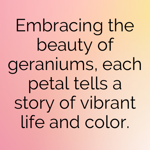 183+ Geranium Captions For Instagram In 2025 9 Geranium Captions Image For Instagram In 2025-ZbJFvk