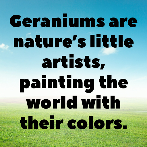 183+ Geranium Captions For Instagram In 2025 6 Geranium Captions Photo For Instagram In 2025-NeyW4m