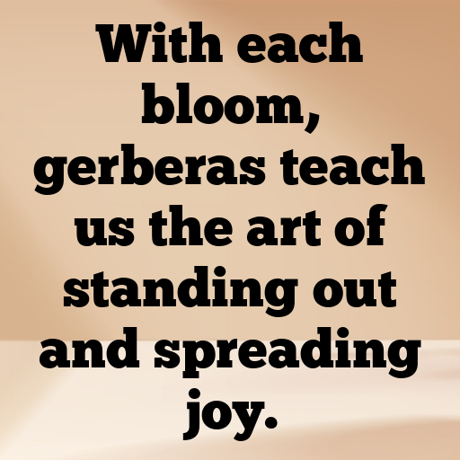 Gerbera Captions Image For Instagram In [2025]-4KhMLV