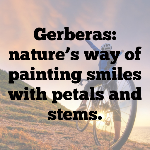 Gerbera Captions Image For Instagram In [2025]-NdNb8U