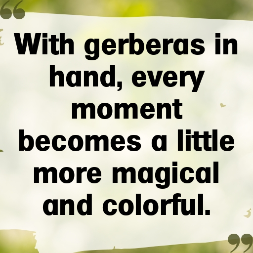 Gerbera Captions Photo For Instagram In [2025]-JwzBja