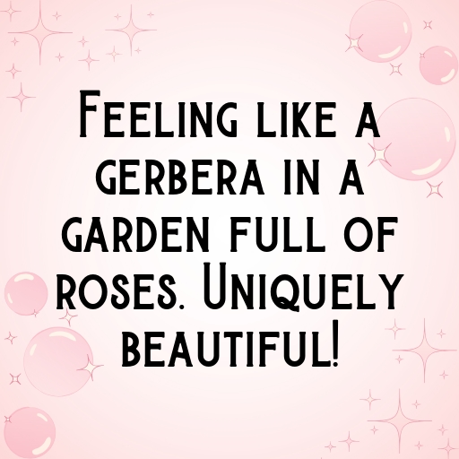 Gerbera Captions Photo For Instagram In [2025]-TbrOtg