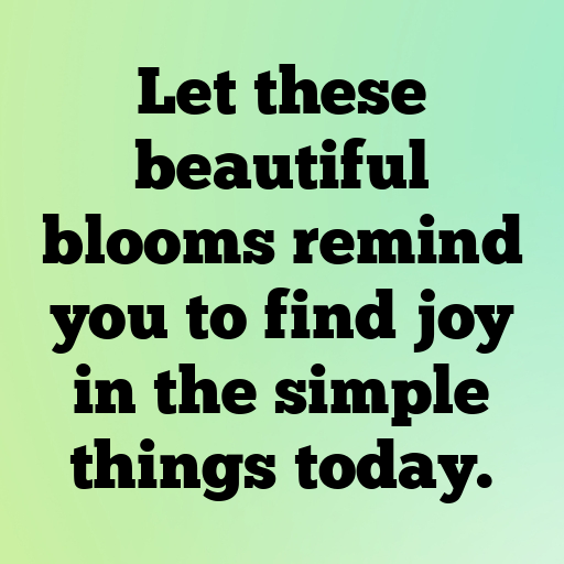 Gerbera Captions Photo For Instagram In [2025]-WAGCpW