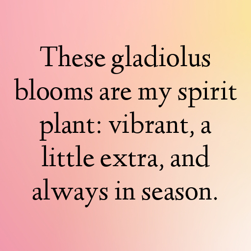 Gladiolus Captions Image For Instagram In 2025-dM92AZ