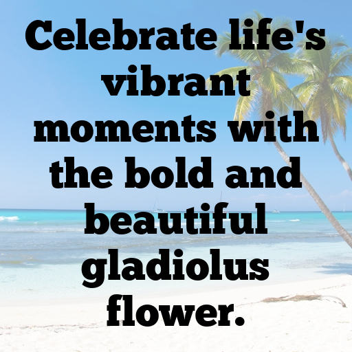 Gladiolus Captions Image For Instagram In 2025-jGFXIJ