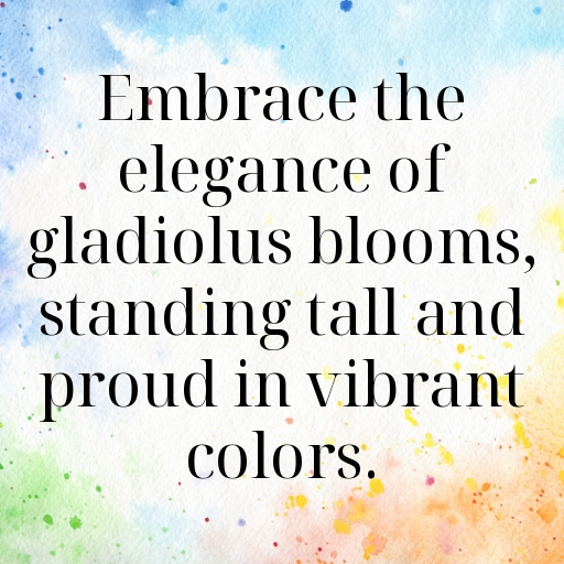 Gladiolus Captions Image For Instagram In 2025-L2tWYL