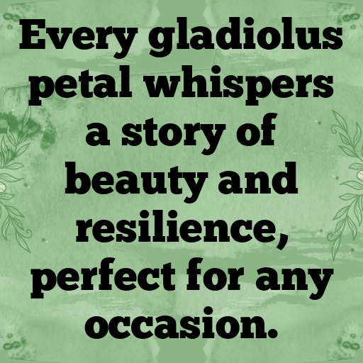 Gladiolus Captions Photo For Instagram In 2025-cG6CwA