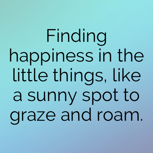 Goat Captions Image For Instagram In (2025)-ihjdg3