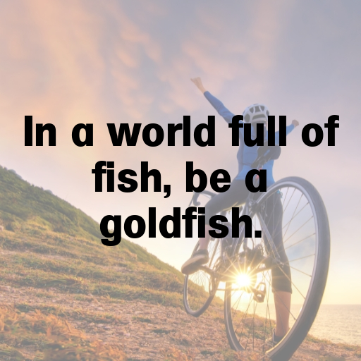 Goldfish Captions Image For Instagram In (2025)-0SglSx