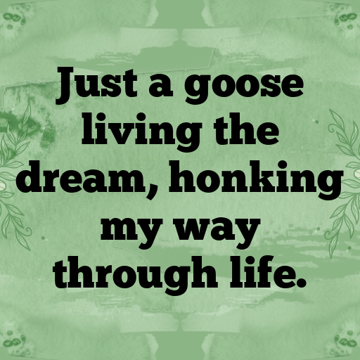 170+ Goose Captions For Instagram In 2025 5 Goose Captions Image For Instagram In 2025-13xjvn