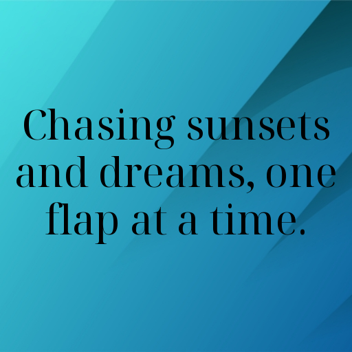 170+ Goose Captions For Instagram In 2025 9 Goose Captions Image For Instagram In 2025-dDELLu