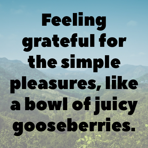 Gooseberry Captions Image For Instagram In [2025]-WuZ68e