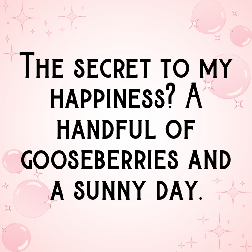 Gooseberry Captions Image For Instagram In [2025]-ZE3bnc