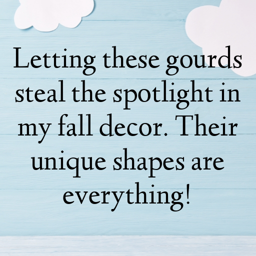 Gourd Captions Photo For Instagram In (2025)-HDgGP3