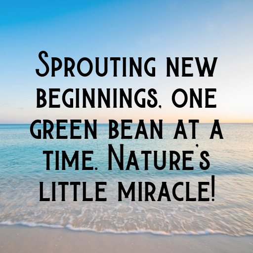 158+ Green Bean Captions For Instagram In (2025) 6 Green Bean Captions Image For Instagram In (2025)-CxDFTB