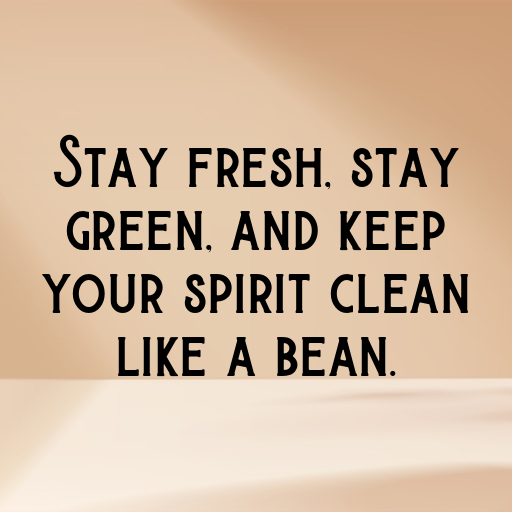 158+ Green Bean Captions For Instagram In (2025) 7 Green Bean Captions Photo For Instagram In (2025)-tcK4oZ