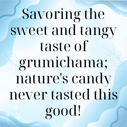 Grumichama Captions Image For Instagram In 2025-5z9P53