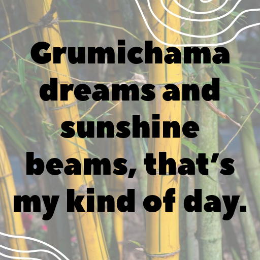 Grumichama Captions Image For Instagram In 2025-UIM9Zo